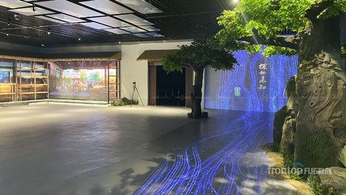 數(shù)字創(chuàng)意先鋒，國(guó)際榮耀加冕 凡拓?cái)?shù)創(chuàng)趙崇光榮獲idpa award top100國(guó)際影響力創(chuàng)新設(shè)計(jì)師大獎(jiǎng)